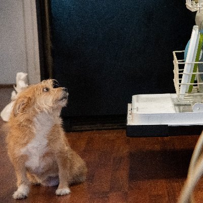 Profile Picture of Perfect NickNam3 (@PerfectNickNam3) on Twitter