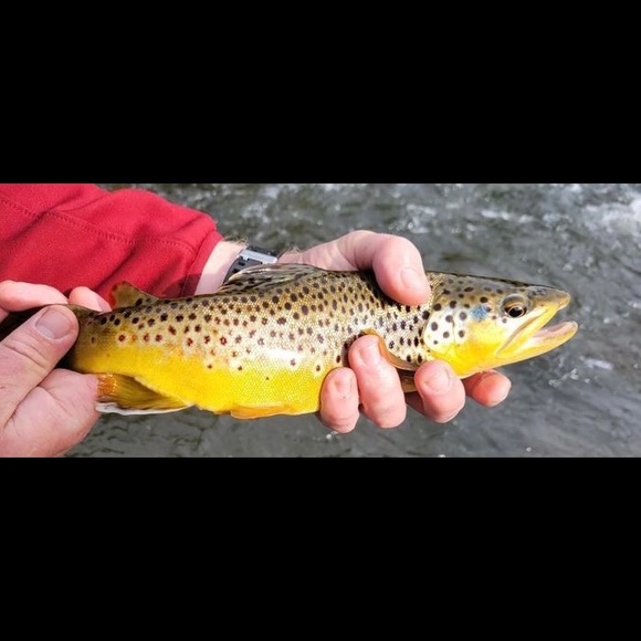 Profile Picture of Michael Broome (@michaelbroome) on Poshmark