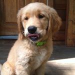 Profile Picture of Peter Hammen (@hammenpeter) on Instagram