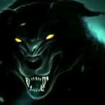 Profile Picture of Mohamed Hamidi (@mohamed_hamidi_7) on Instagram