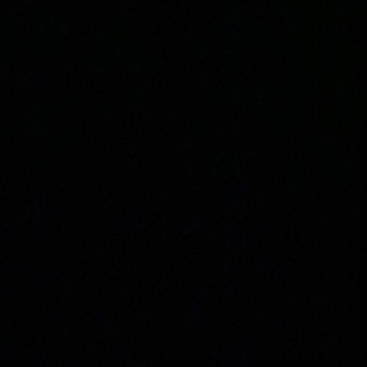 Profile Picture of SirChucks (@charles_rayburn) on Tiktok