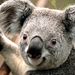 Profile Picture of Eric Luciano (@eluciano68) on Pinterest