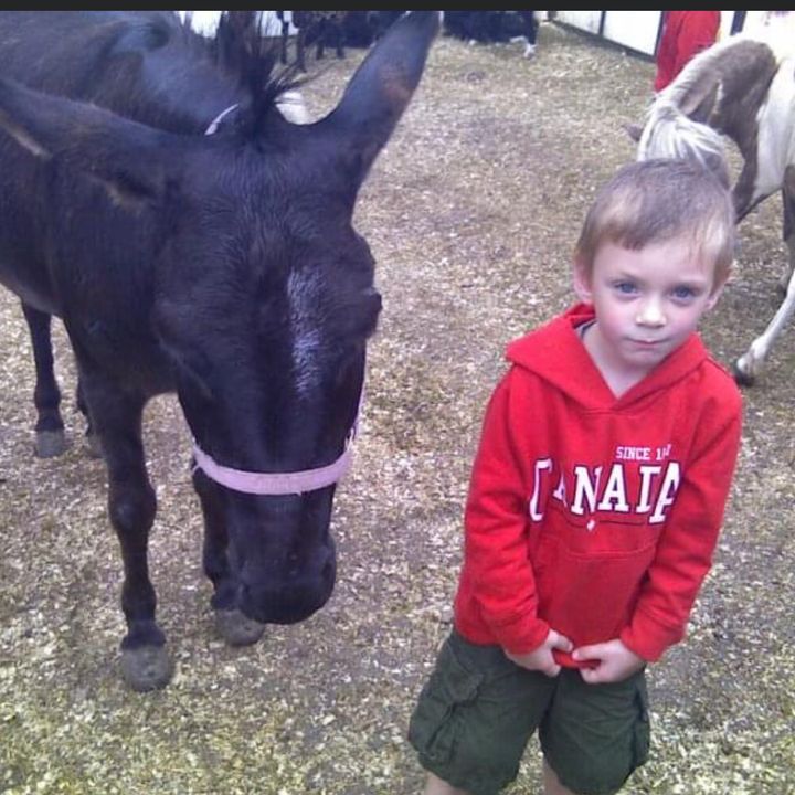 Profile Picture of michael_penney (@michael_penney) on Tiktok