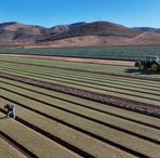 Profile Picture of Tony Salas (@Tony-Salas) on Facebook