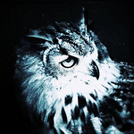 Profile Picture of My Long Hard Winter (@My Long Hard Winter) on Flickr