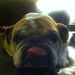 Profile Picture of Christopher Noll (@jigovat) on Pinterest