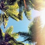 Profile Picture of Fun. Filosophy. Freedom. (@nicholas.cristofori) on Instagram