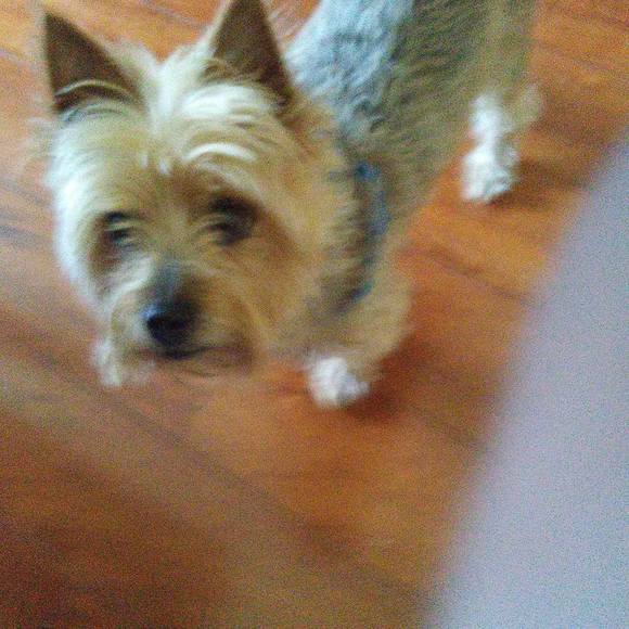 Profile Picture of Frank Post (@kitcancoo) on Poshmark