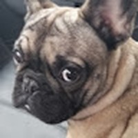 Profile Picture of Matthew Cove (@matthew-cove-3) on Quora