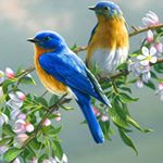 Profile Picture of Wilma Dean Heatherly (@wilmaheatherly) on Instagram