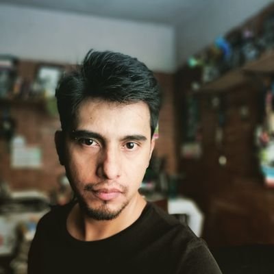 Profile Picture of José Luis Morones (@stamarthavisual) on Twitter