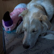 Profile Picture of Lorena Ulloa (@lorenaulloa435) on Youtube