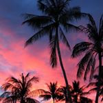 Profile Picture of Brendan Spillane (@brendan_spillane_15_2) on Instagram