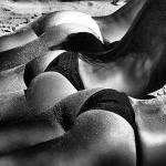 Profile Picture of Jean Greer (@beautyjean1951) on Instagram