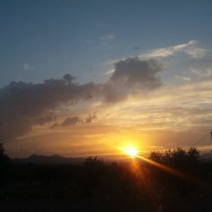 Profile Picture of Rosa Guardiola (@RosaGuardiola4) on Twitter