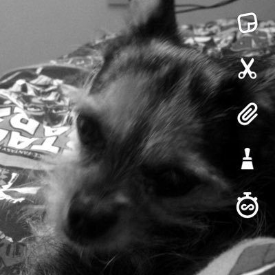 Profile Picture of Jake Healy (@jakehealy11) on Twitter