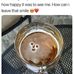 Profile Picture of Robert Entenman (@robert.entenman.7) on Facebook