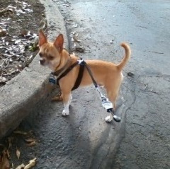 Profile Picture of Robert Ault (@rbrtault4) on Poshmark