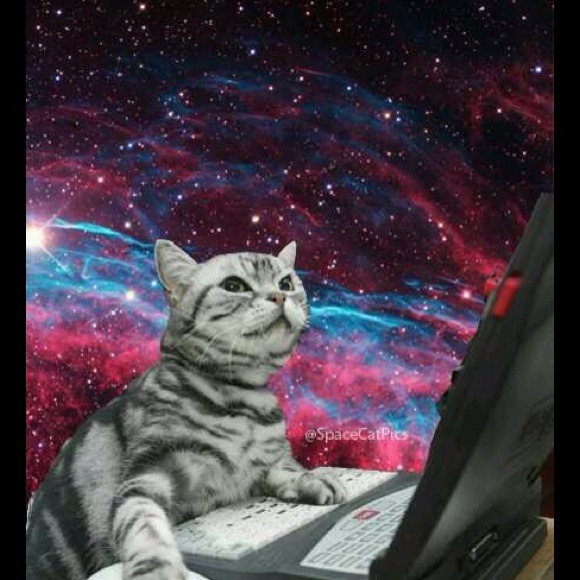 Profile Picture of Laida Magtalas (@laidamagtal) on Poshmark