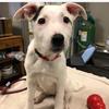 Profile Picture of Atticus Finch (@booradleymademedoit) on Tiktok