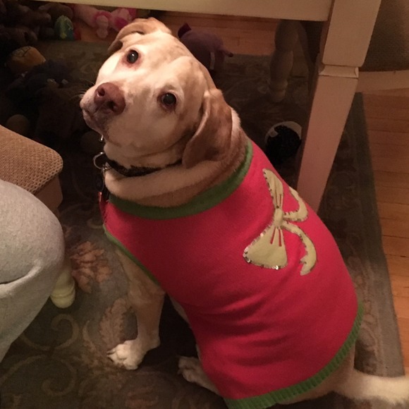 Profile Picture of Shelly Malmquist (@shelly9727) on Poshmark