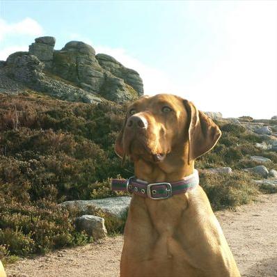 David Threadgold - Twitter Profile Picture of David Threadgold (@riamatt1) on Twitter