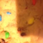 Profile Picture of Garrett Hodge (@@garrett_hodge_) on Instagram