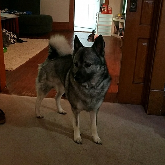 Profile Picture of John Schiffgens (@jschiffgens) on Poshmark