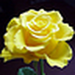 Profile Picture of Bích Ngọc Ruby (@ngọc cô nương_ruby) on Flickr