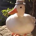 Profile Picture of Isaac Priest (@isaacpriest1) on Instagram