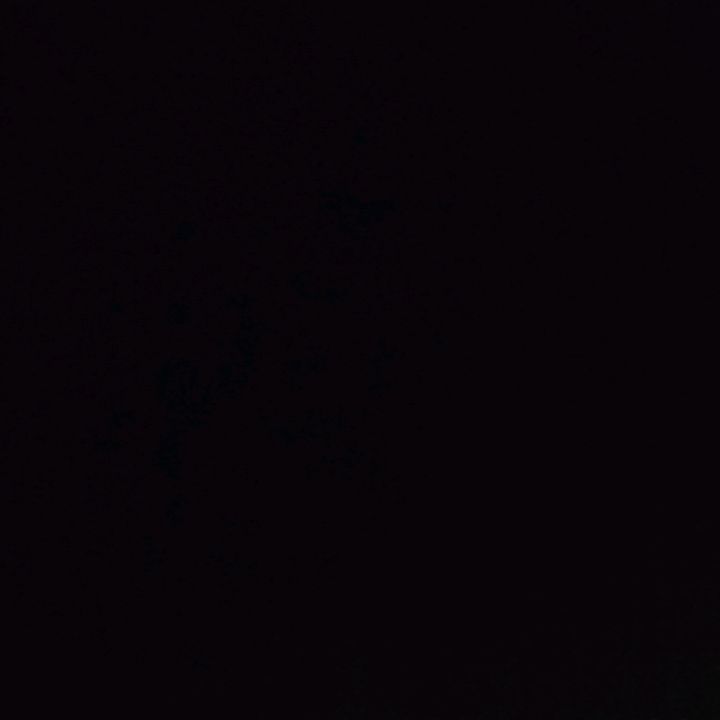 Profile Picture of James Weird (@eteeths) on Tiktok