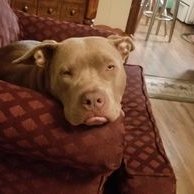 Profile Picture of Mitch Meeks (@mitch_meeks) on Twitter