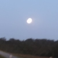 Profile Picture of Carey (kari) Walton (@carey-kari-walton) on Quora