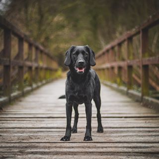 Profile Picture of Ania Mansfeld (@muniashek) on Facebook