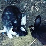 Profile Picture of Gabriel Gerardo (@gabriel.gerardo.503) on Instagram