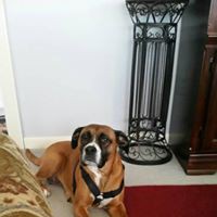 Profile Picture of Beverly Hogan (@beverly-hogan-10) on Quora