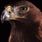 Profile Picture of Mark Kislich Is (@markkislichpersonal) on Facebook