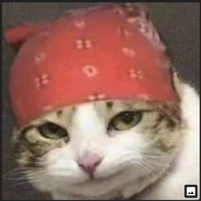 Profile Picture of Joe 👨🏻‍💻 (@JoeBarrington12) on Twitter