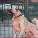 Heron Ramirez Jr - Instagram Profile Picture of Heron Ramirez Jr (@elchavo2004) on Instagram