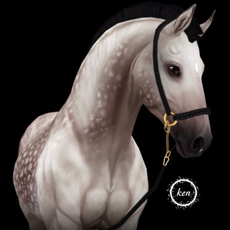 Profile Picture of Clay seals (@clay..seals..official) on Tiktok