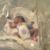 Profile Picture of Nelson Montero (@nemontero1) on Youtube