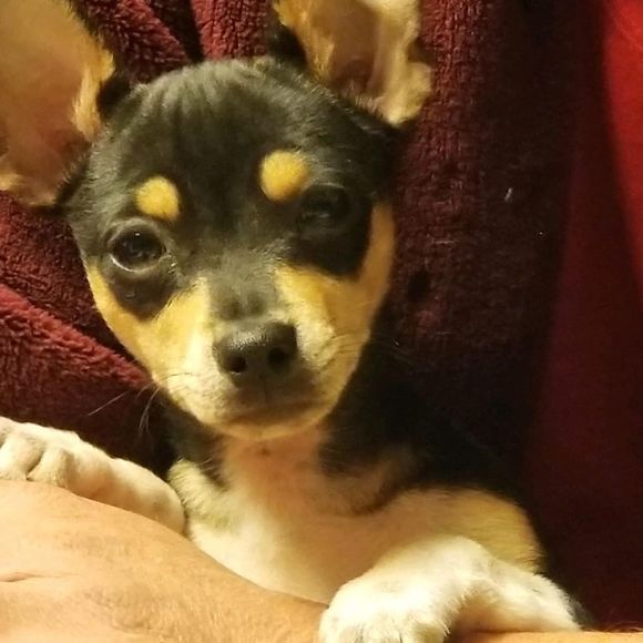 Profile Picture of Greg Slaughter (@grgslau0801) on Poshmark