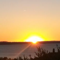 Profile Picture of Angelo (@Angelocorsaro85) on Twitter