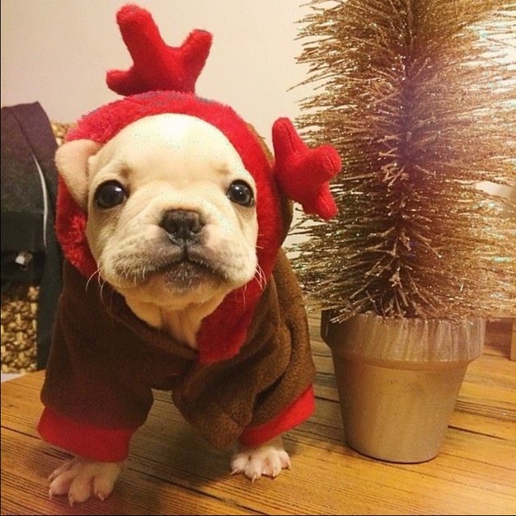 Elisha Manning - Poshmark Profile Picture of Elisha Manning (@demanning) on Poshmark