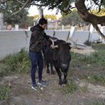 Profile Picture of Juan Antonio Almodovar Terres (@j.almodovar) on Instagram