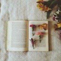 Phanh Điệu - Quora Profile Picture of Phanh Điệu (@phanh-Điệu) on Quora