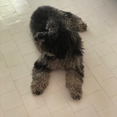 Hayden Lucas - Twitter Profile Picture of Hayden Lucas (@HaydenL18524942) on Twitter