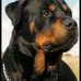 Profile Picture of Scott Winget (@scott.winget.35) on Facebook