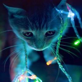 Profile Picture of Julian Oliver Rios (@julianoliver40) on Twitter