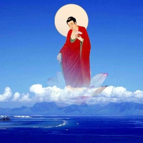 Profile Picture of Luc Hoang (@luchoang41) on Poshmark